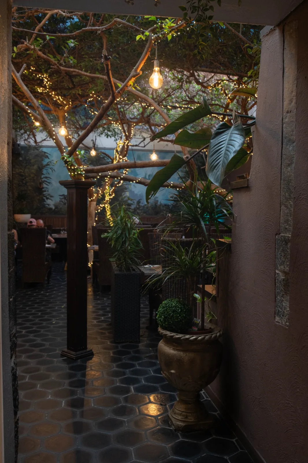 Allée bordée de plantes vers la salle des ficus
