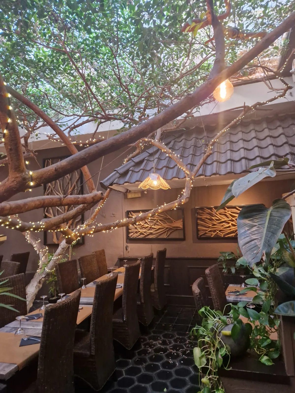 Salle sous les ficus, décor en bois flotté