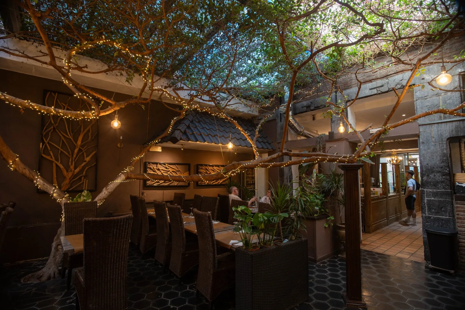 Salle du restaurant Il Valentino sous les branches des ficus, éclairée par des guirlandes