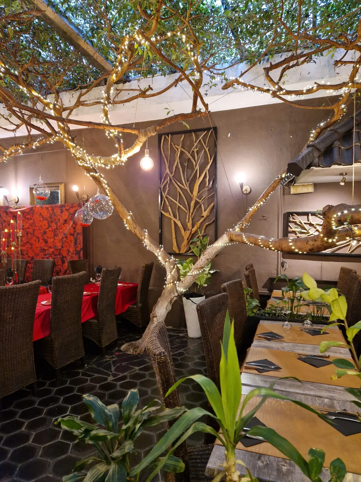 Tables aux nappes rouges sous les ficus et guirlandes