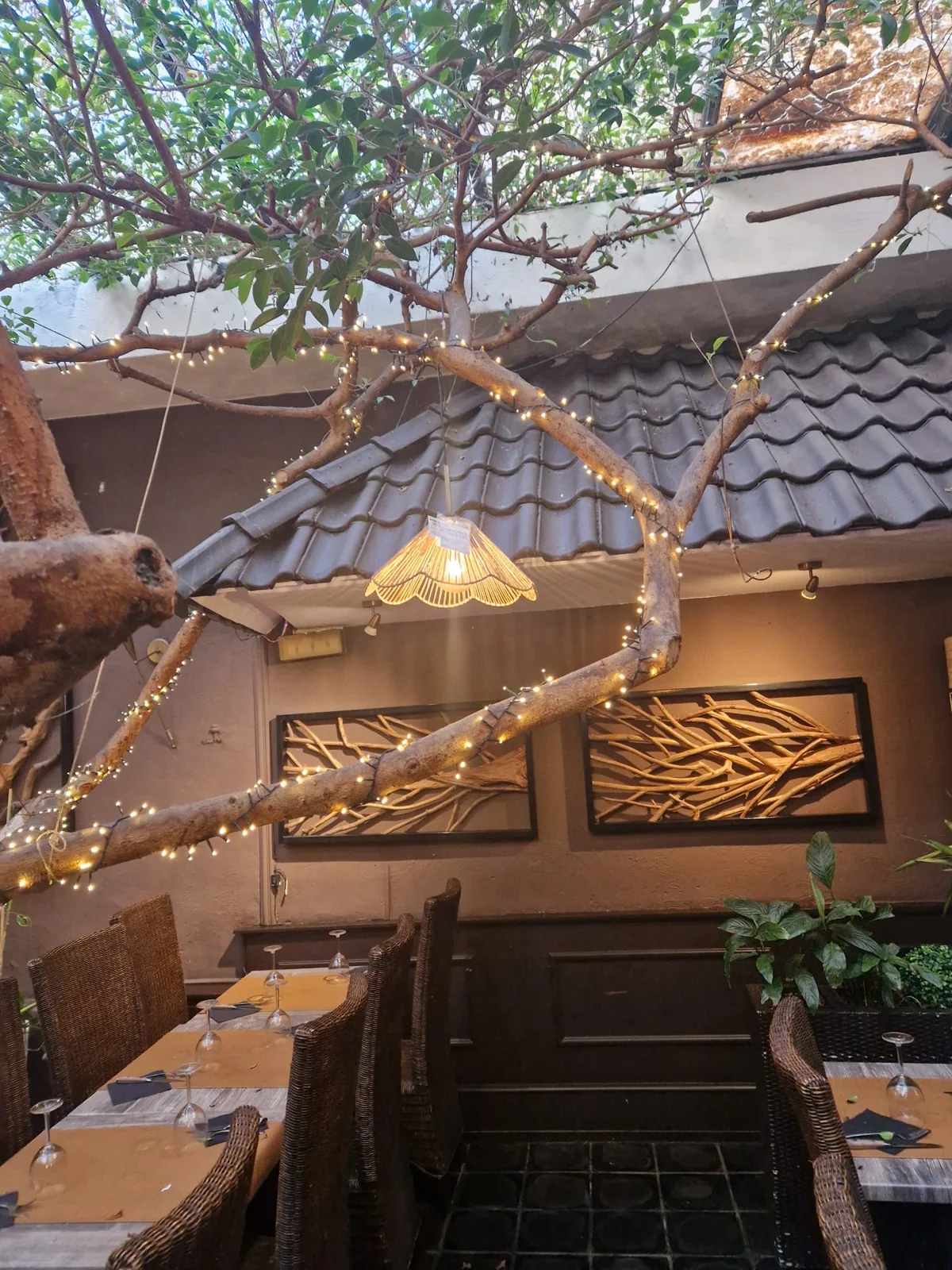 Salle sous les ficus avec toit de tuiles et suspensions